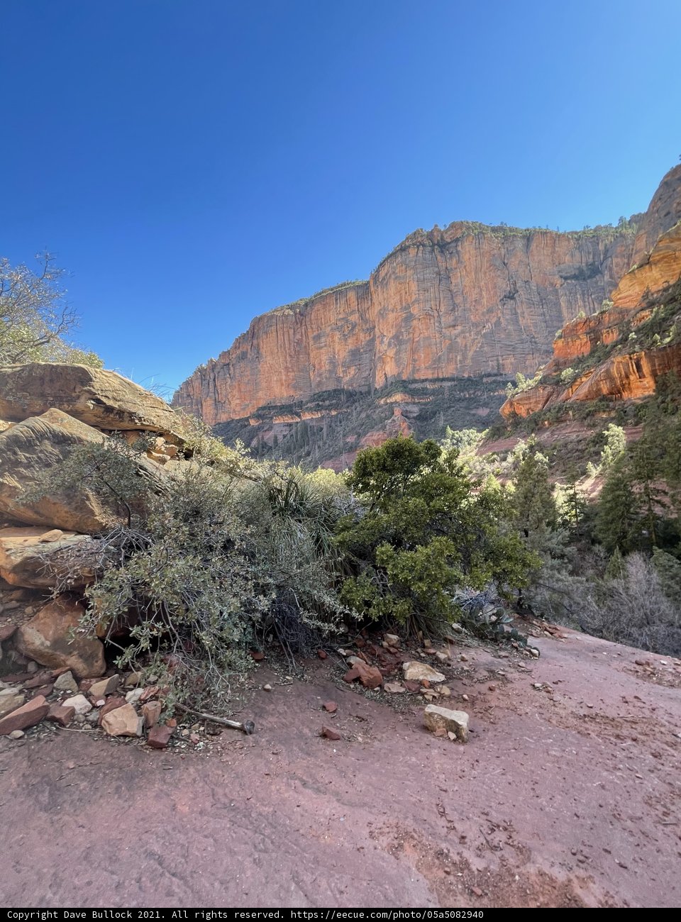 Overlooking the Majestic Canyon