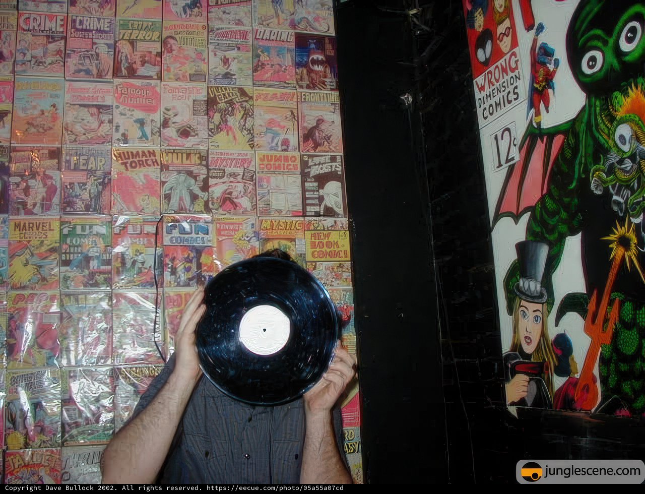Record Enthusiast Surrounded by Comics