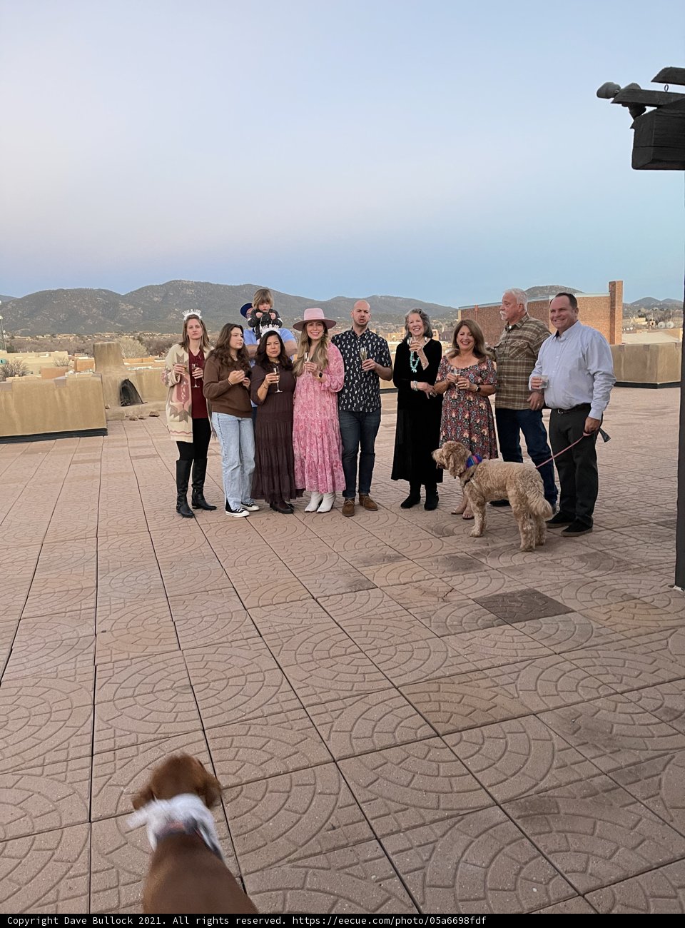 Patio Gathering with Furry Company