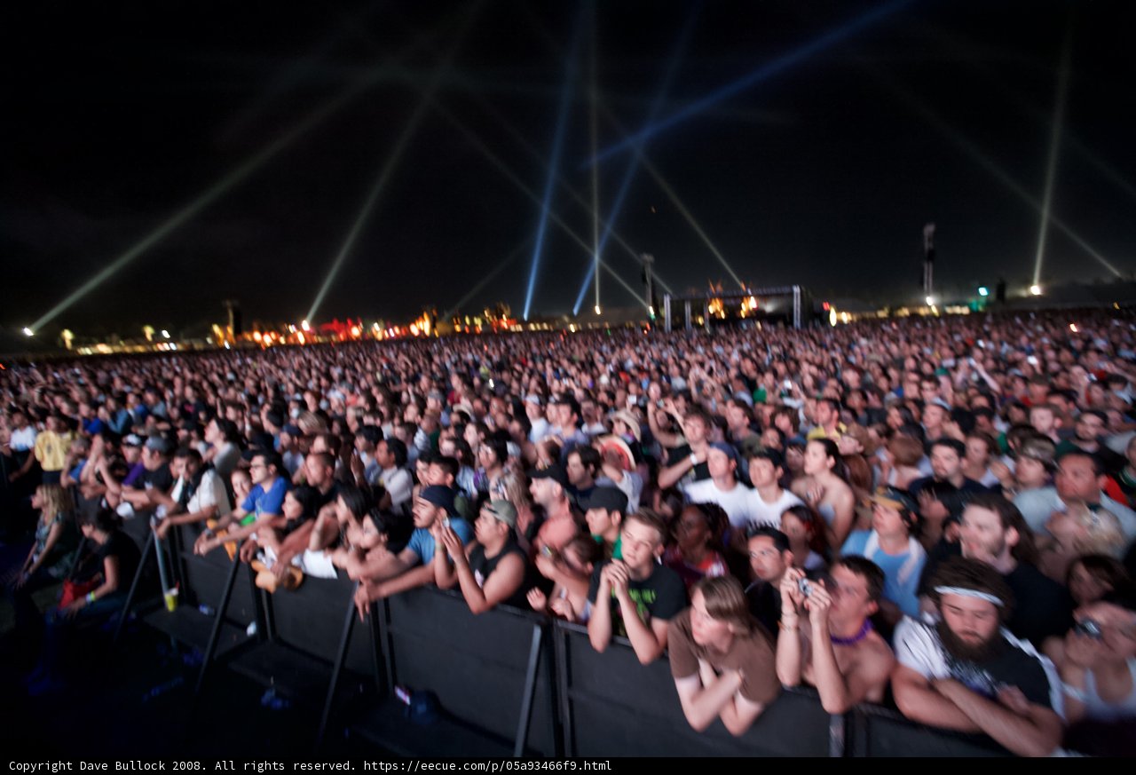 Coachella Night Lights