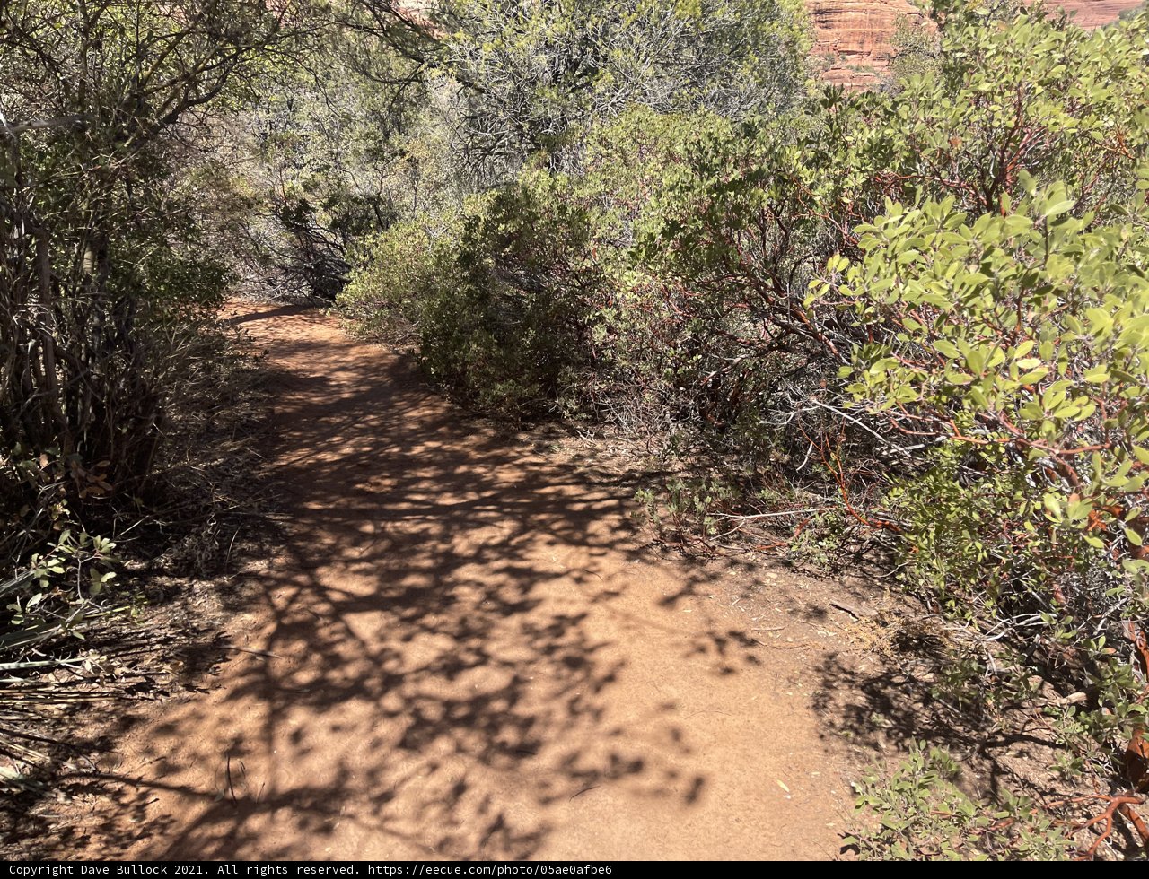 Into the Wilderness
