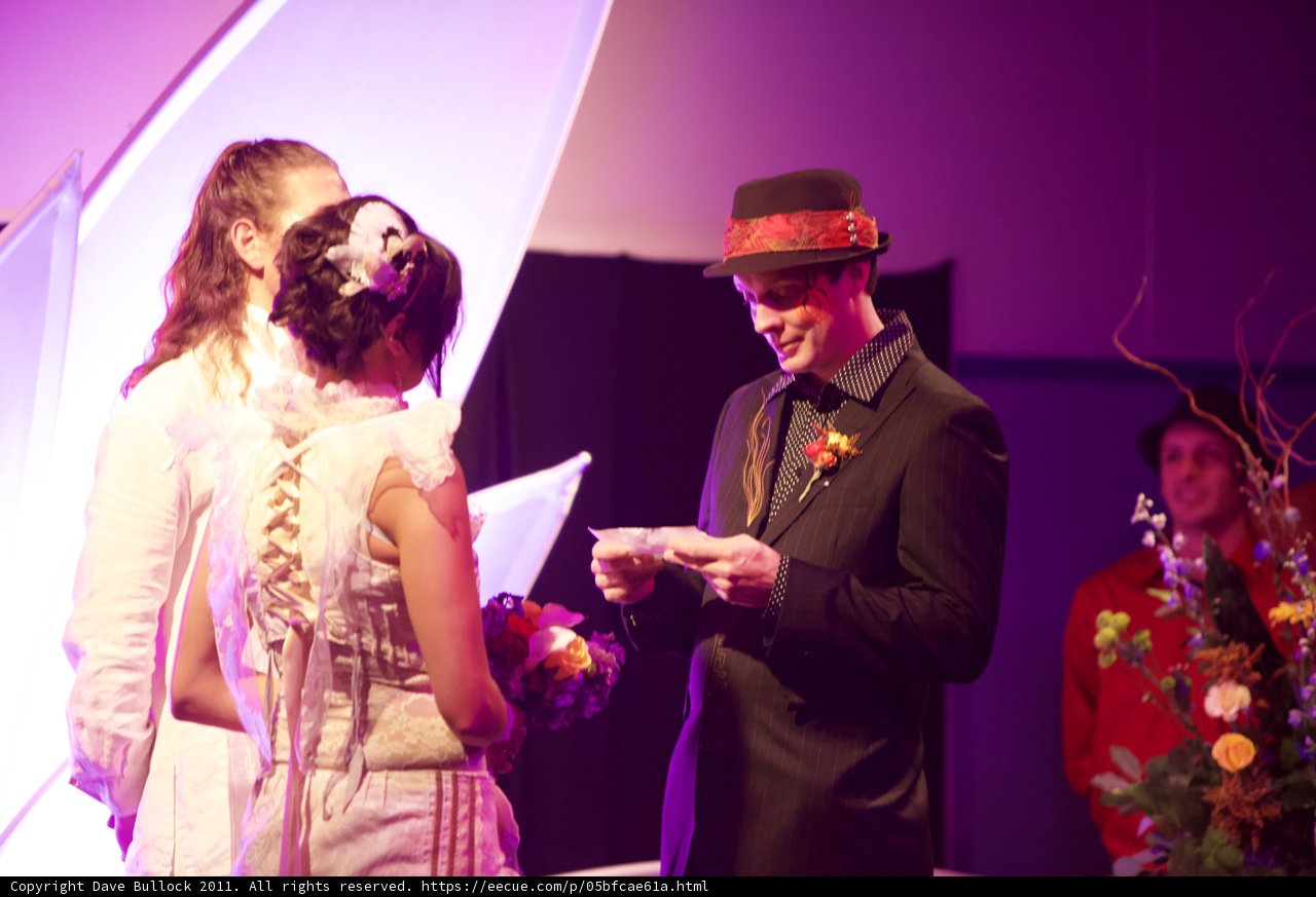 The Perfect Pair at the Wickstrom Wedding