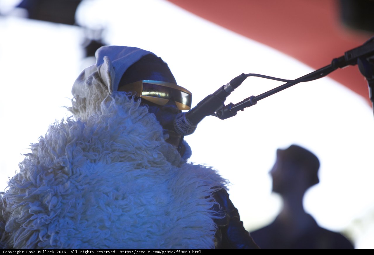 Furry-Coated Singer Rocks Coachella Stage
