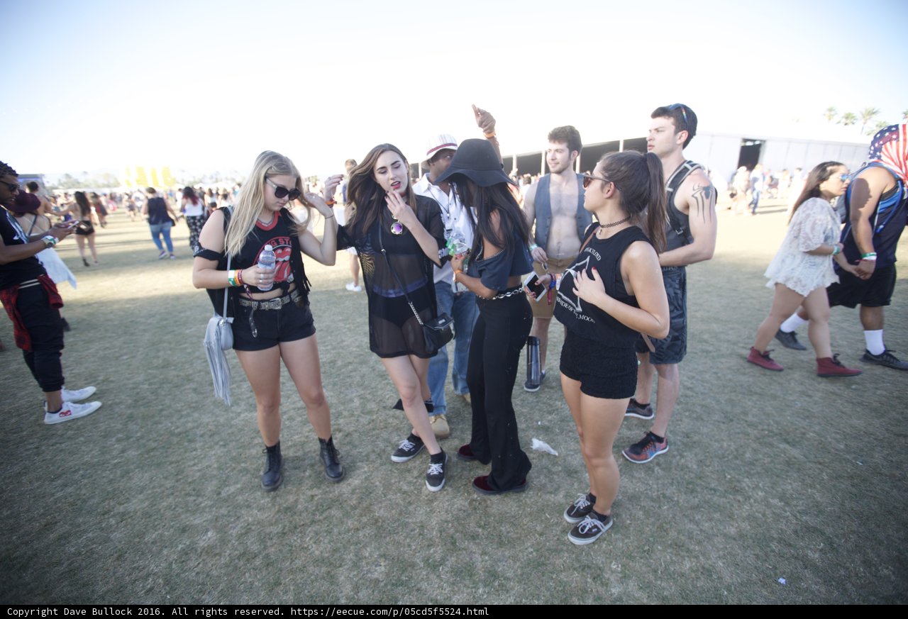 Music Festival Gathering