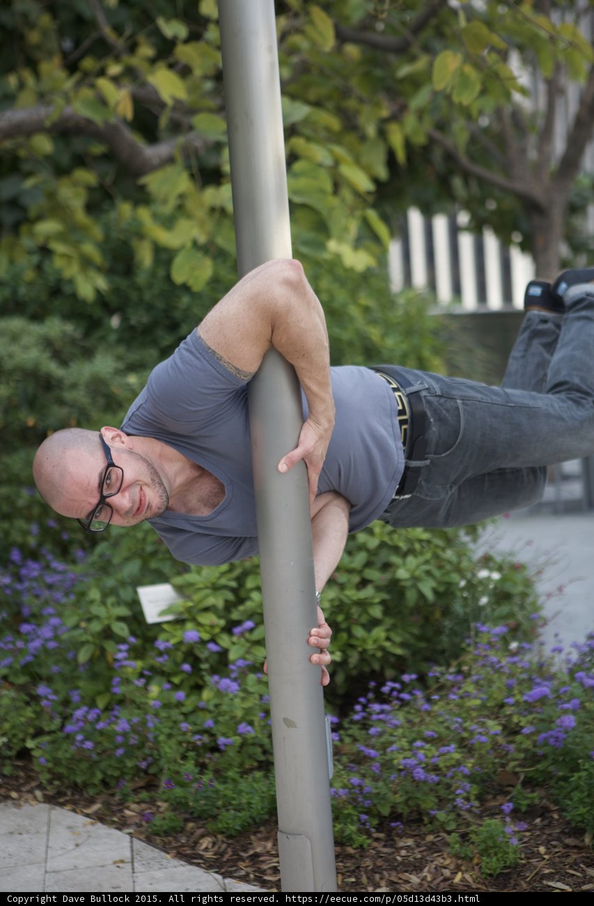 Human Flag on Lamppost