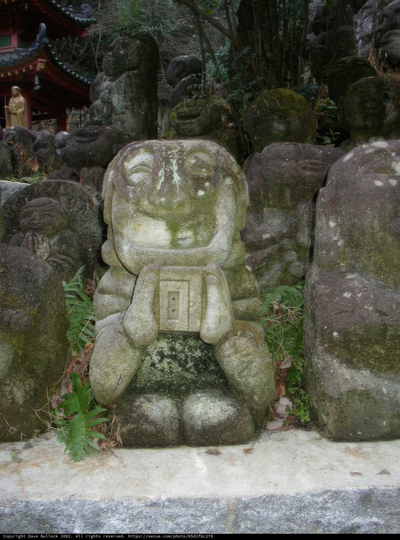 The Meditating Monkey