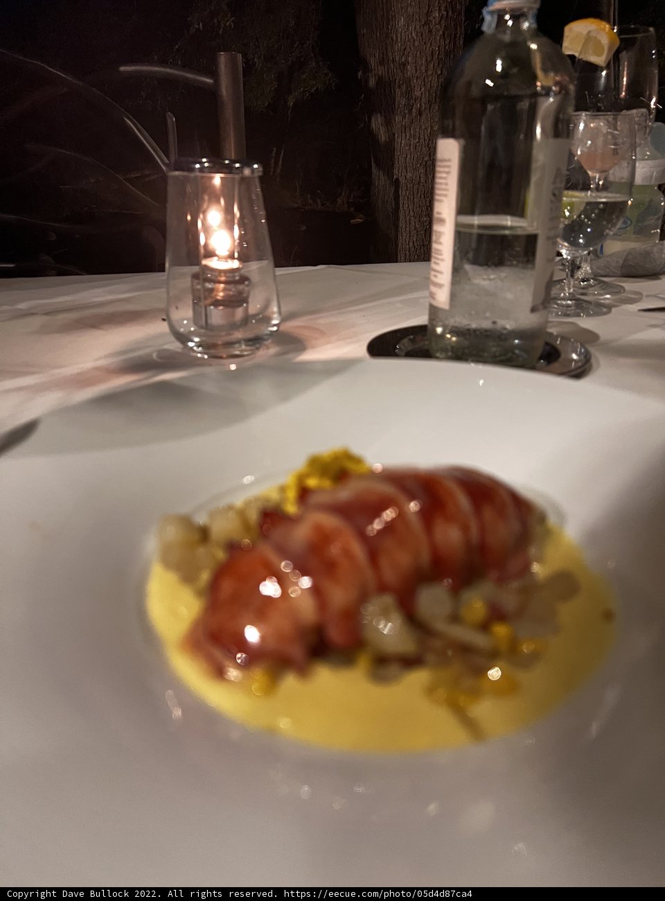 Delicious Meal in Nature