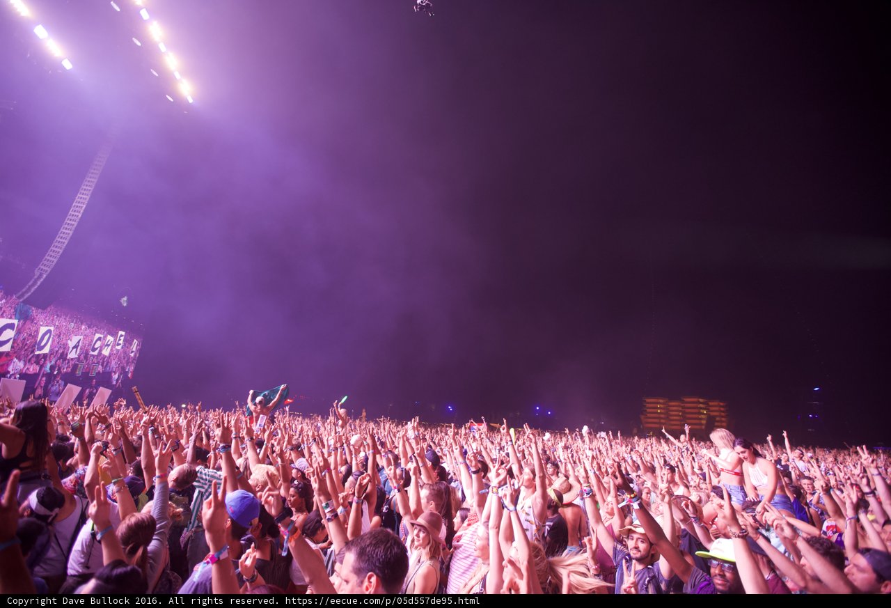 Electric Crowd at Coachella