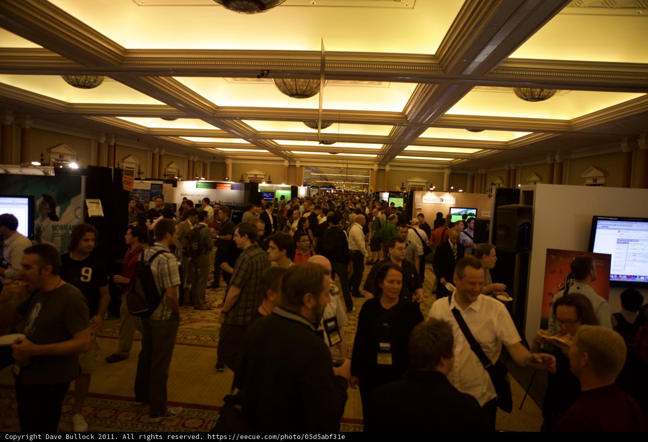 The Giant Crowd at DEF CON