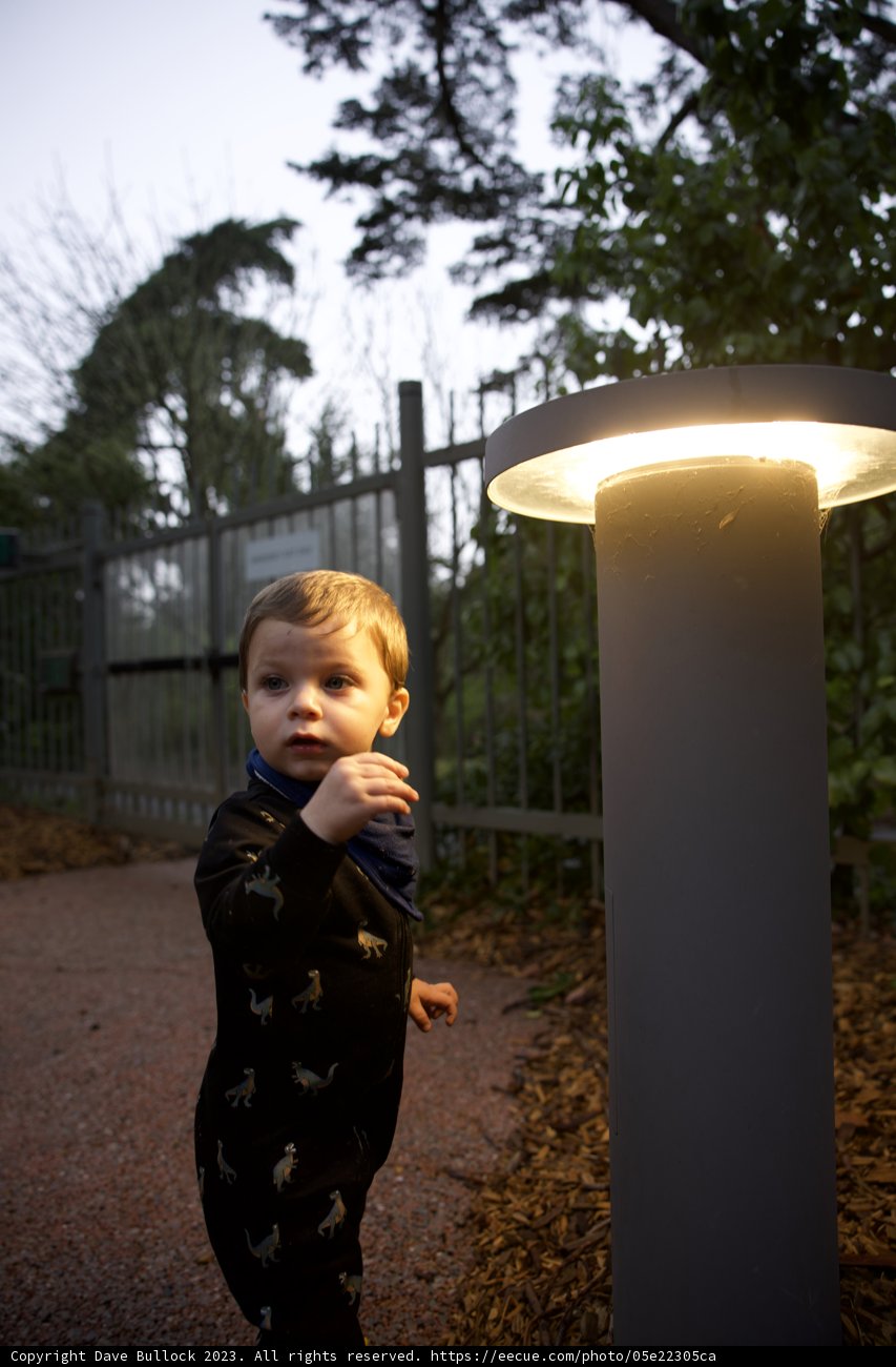 Light-Hearted Wonders - Wesley's Day Out