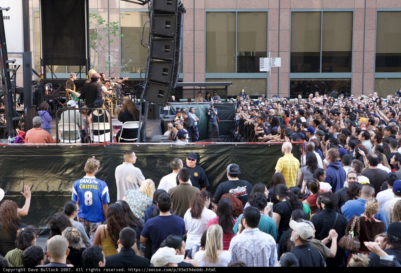 A Sea of Music Lovers