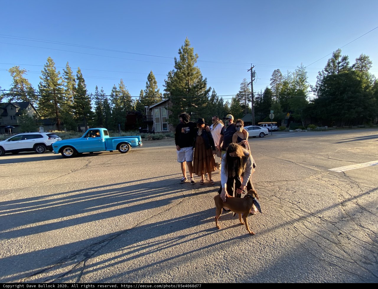 A Day Out with Friends and Furry Companion