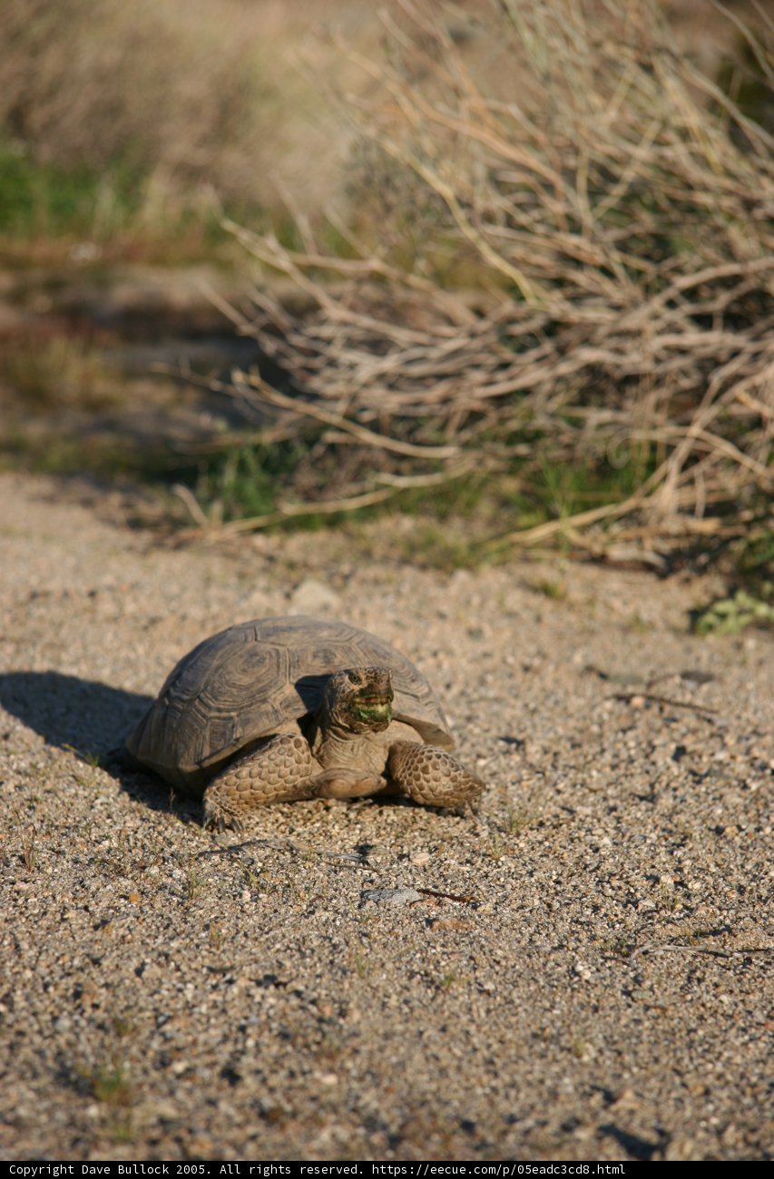 A Slow but Steady Journey