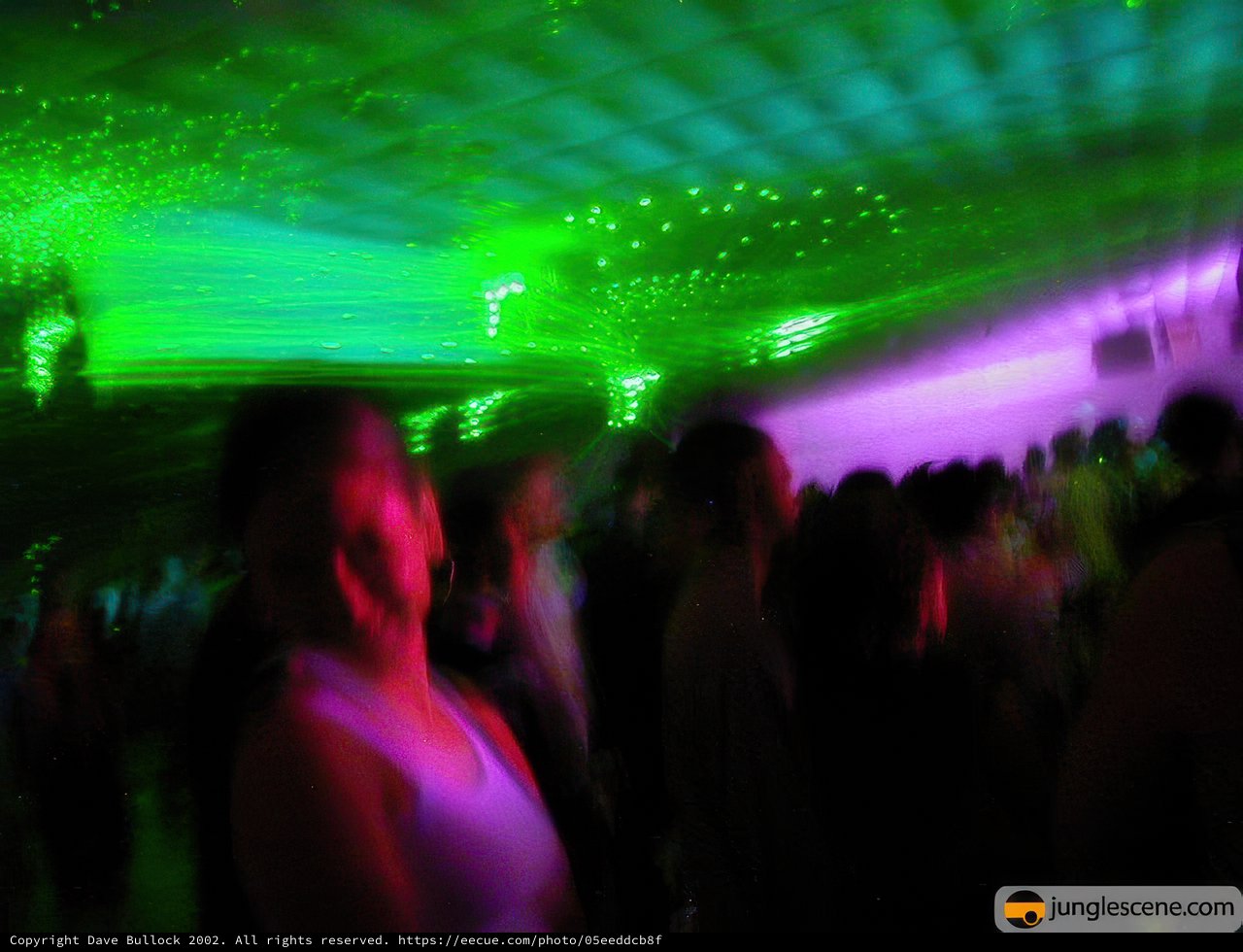 Night Life in Motion