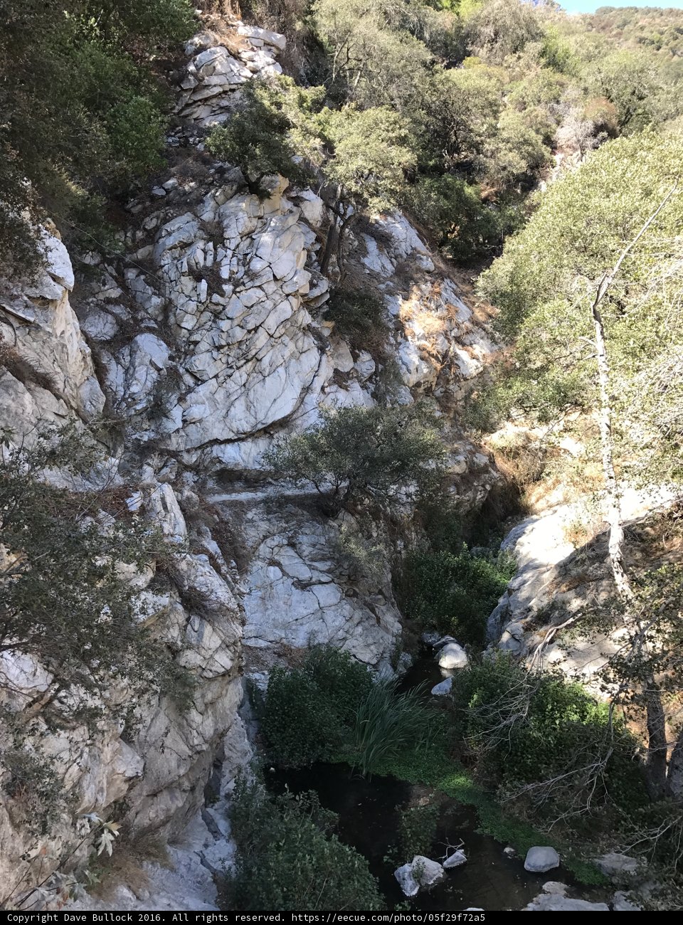 The Serene Waters of Angeles National Forest