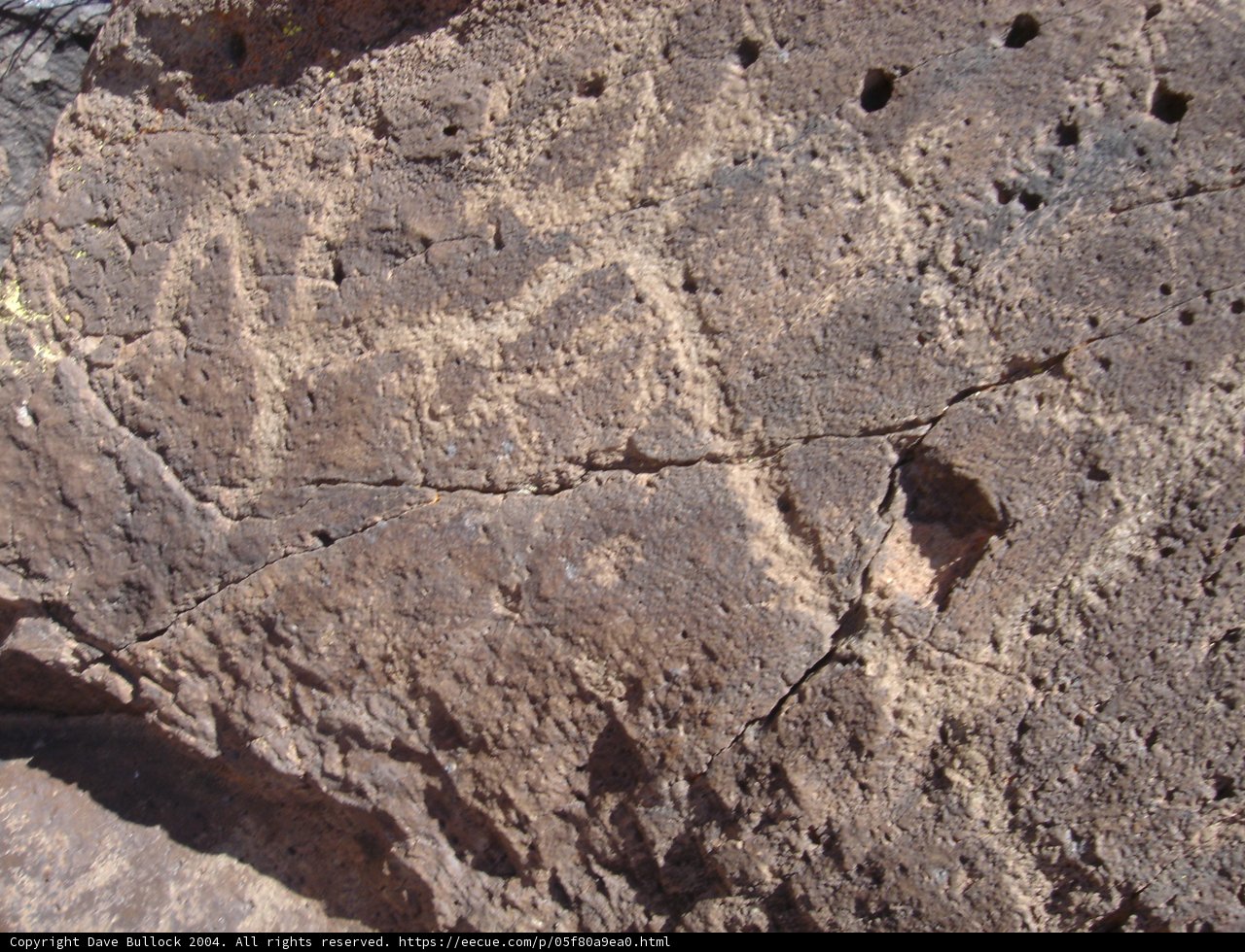 Ancient Inscriptions on Desert Rock