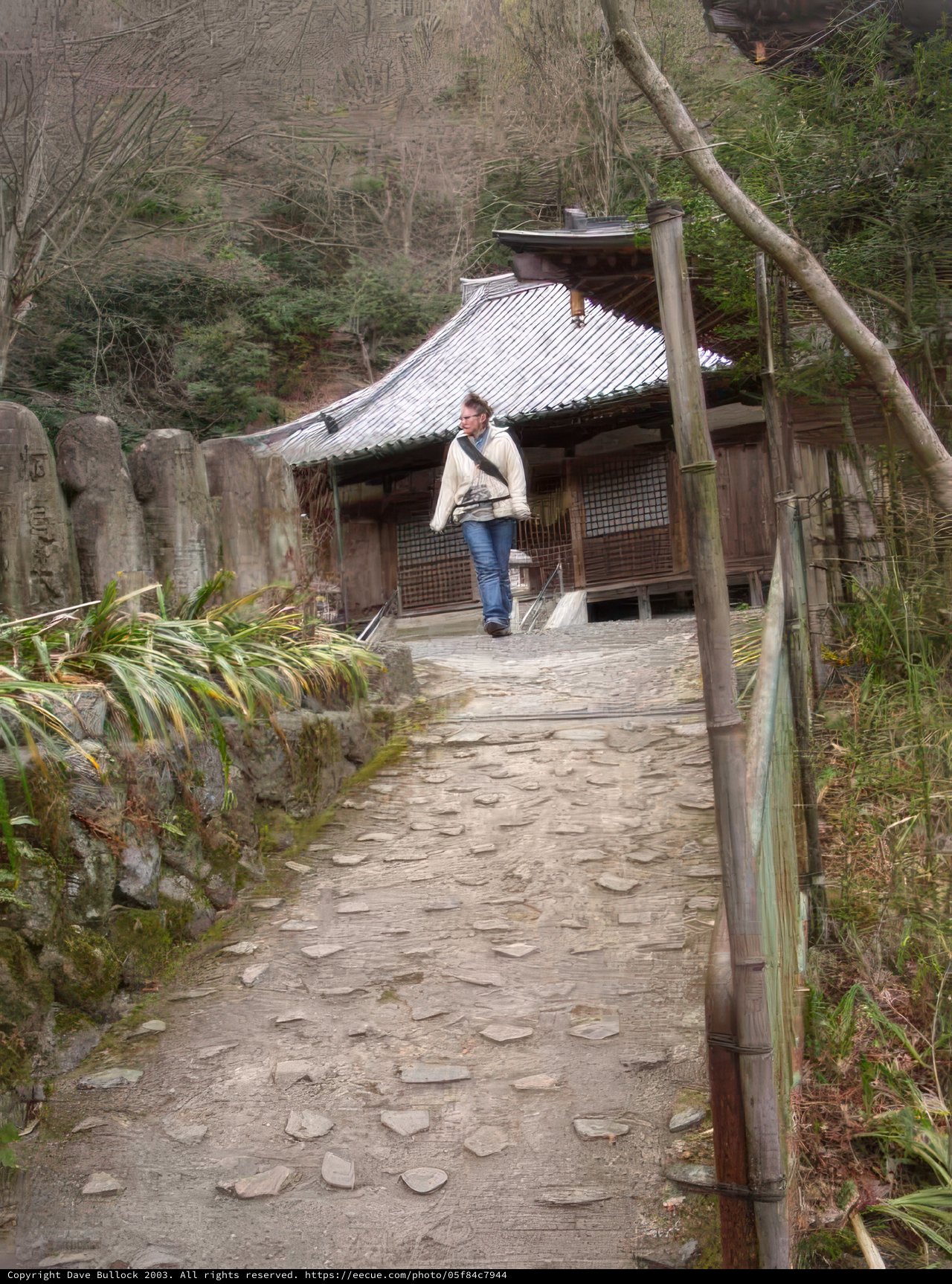 Walkway to Serenity