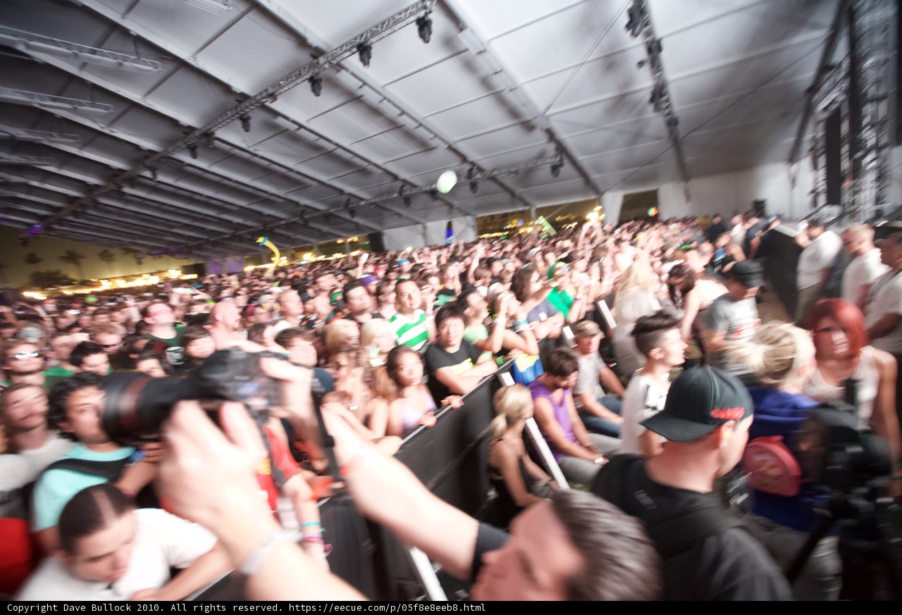 Coachella Crowd