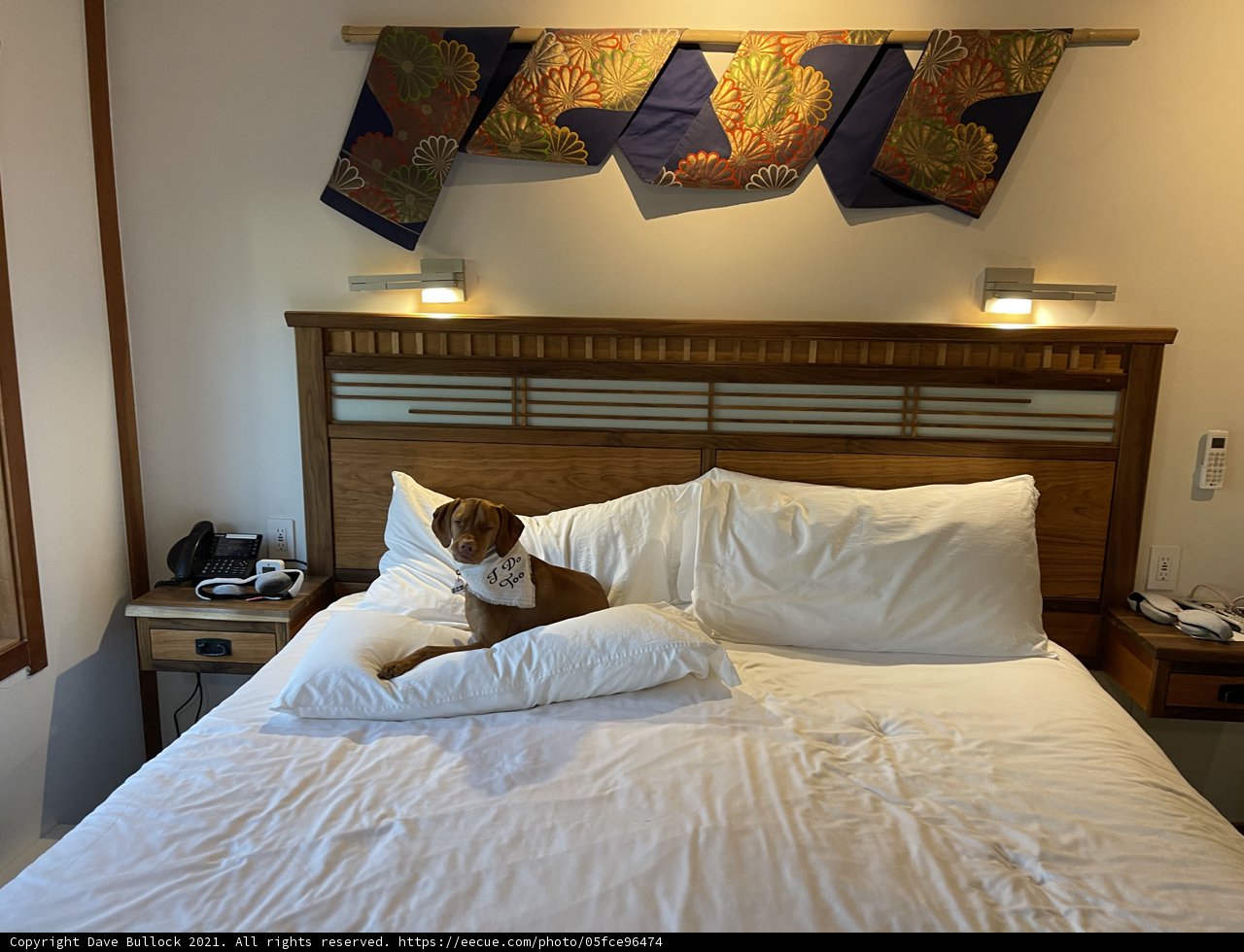 Cozy Accommodations