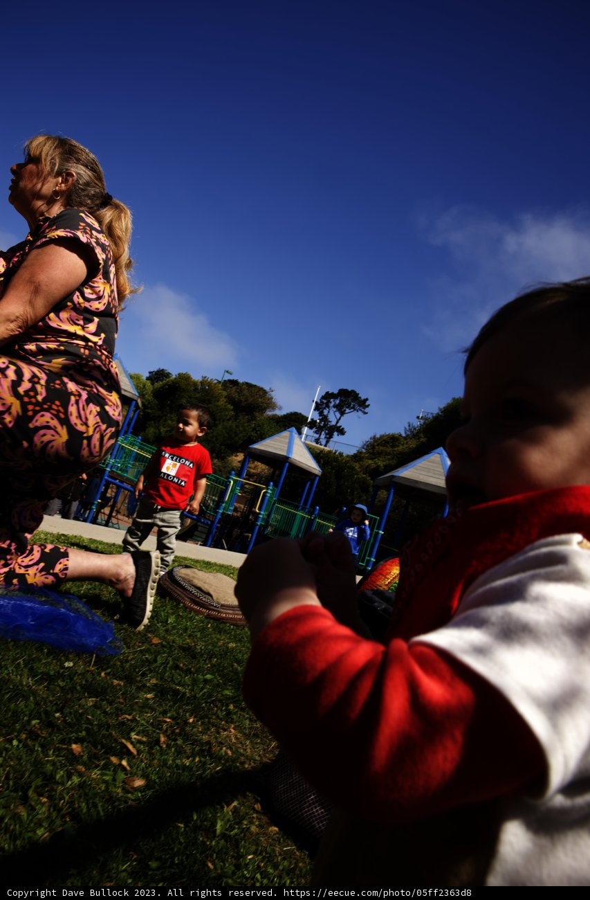 Captivating Moments at the Park: Celebrating Wesley's First Birthday