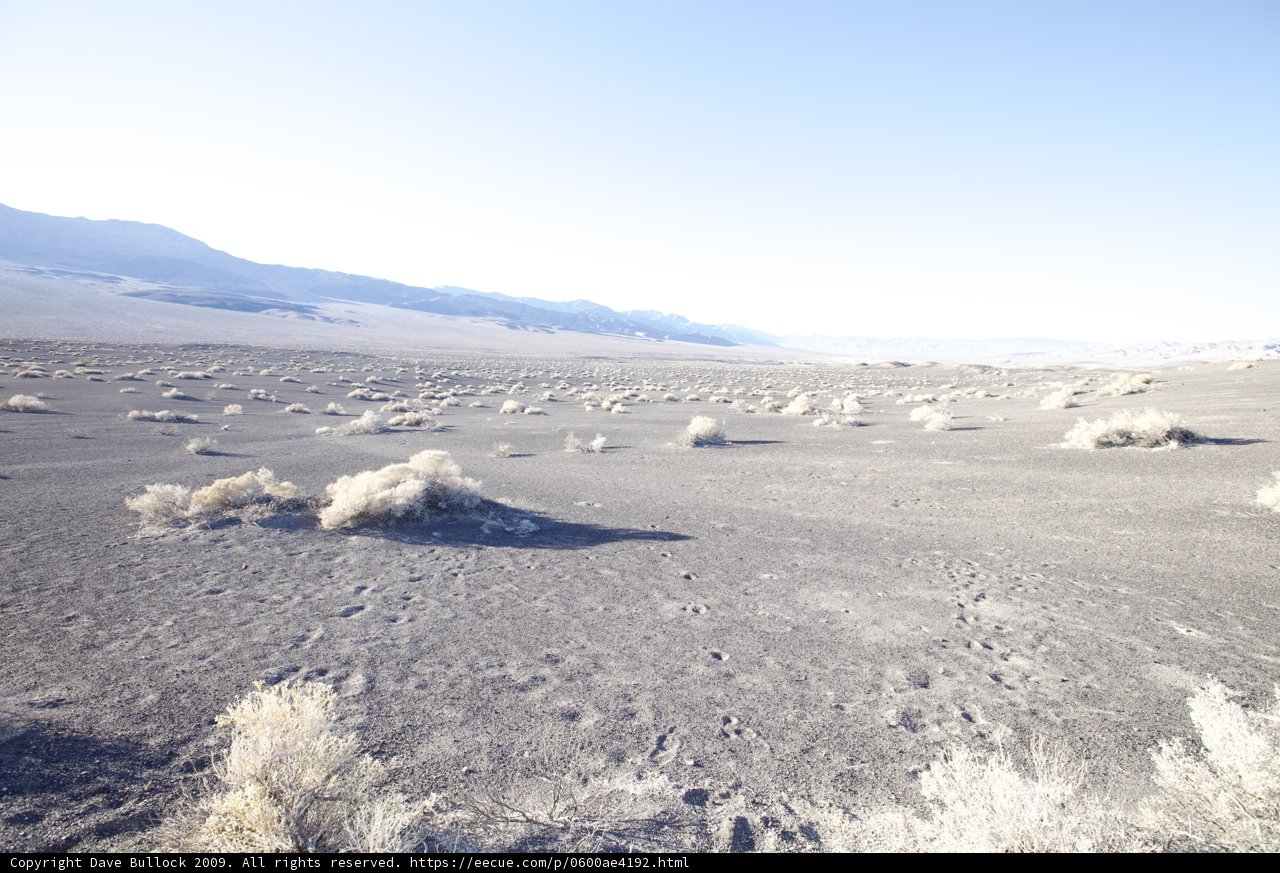 Serenity in the Desert