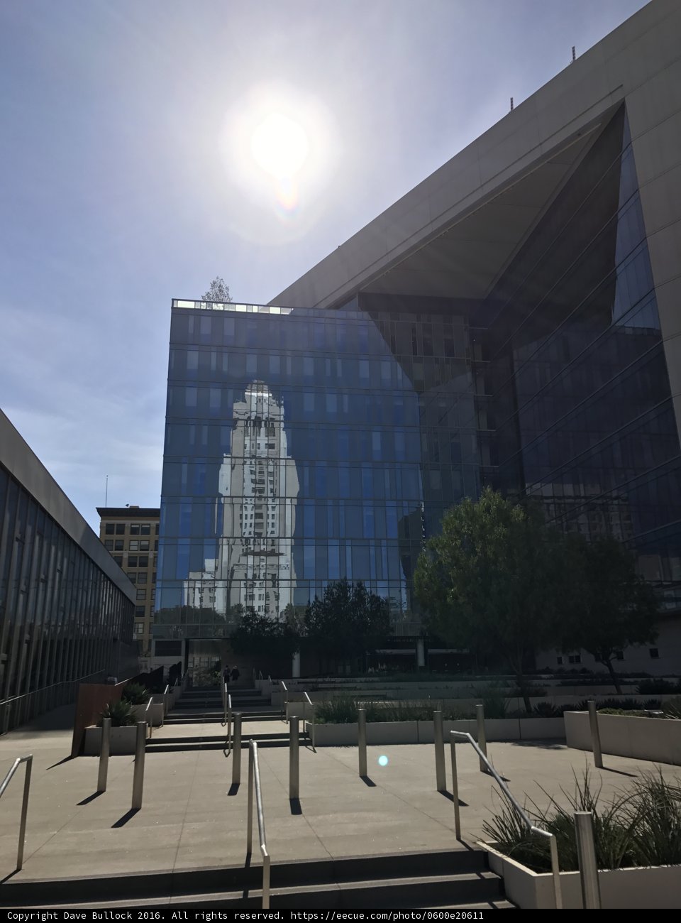 Shining High Rise in the Metropolis
