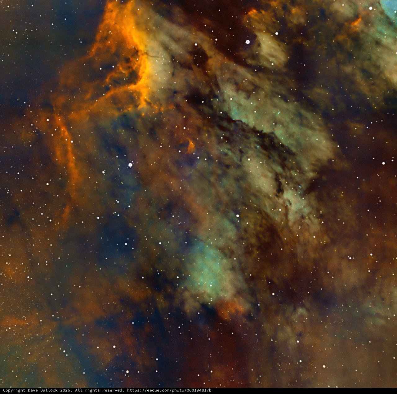 IC 5070 Pelican Nebula in SHO Narrowband Palette