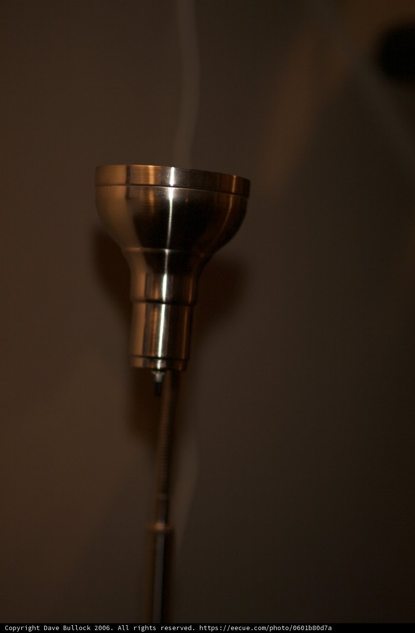 Illuminating Beauty