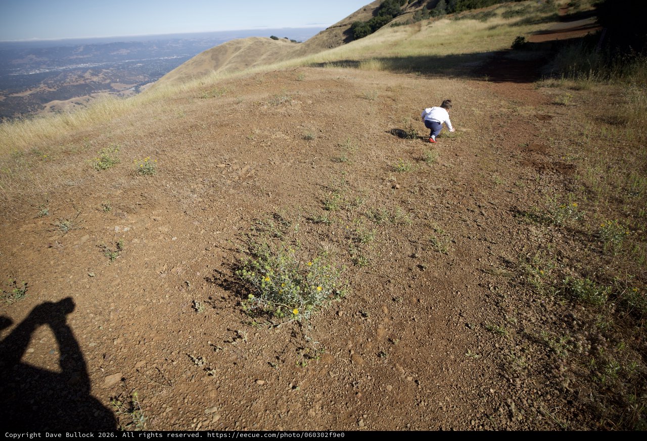 Toddler Explores the Ridge of Mount Diablo