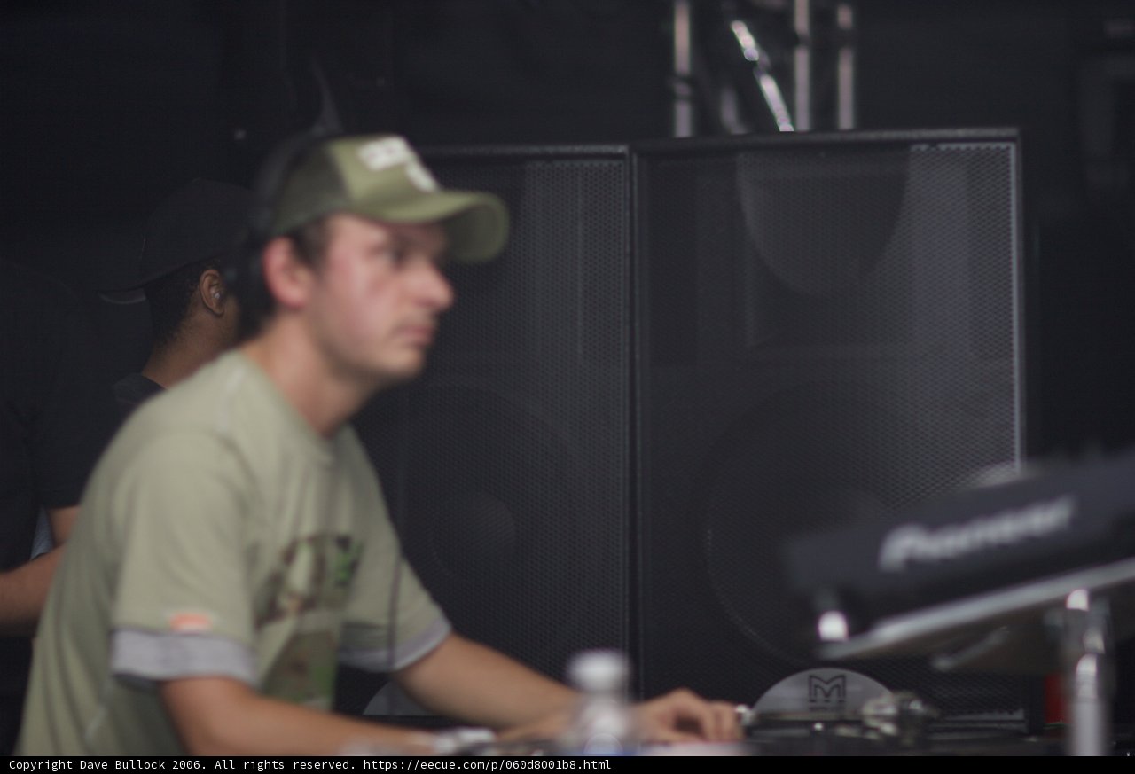 Green Shirt DJ Entertains Crowd