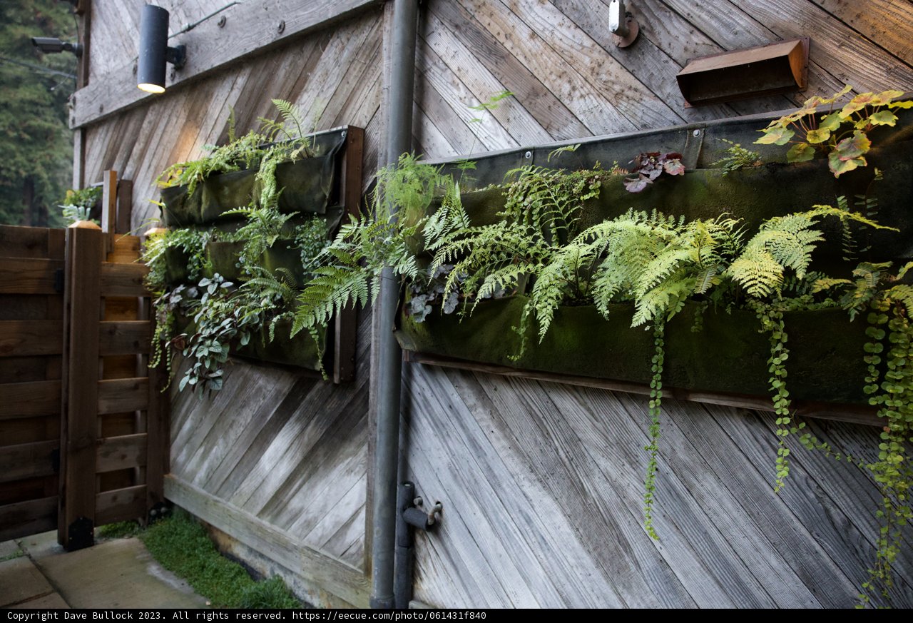 Serene Sanctuary: A Fusion of Nature and Architecture