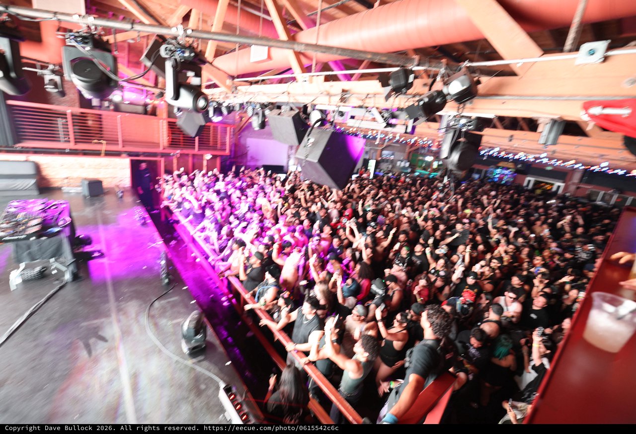 Packed Crowd Surges at Wobbleland 2026 Festival