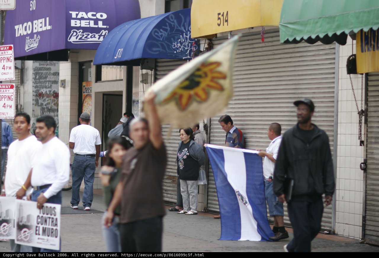 Holding the Flag with Pride