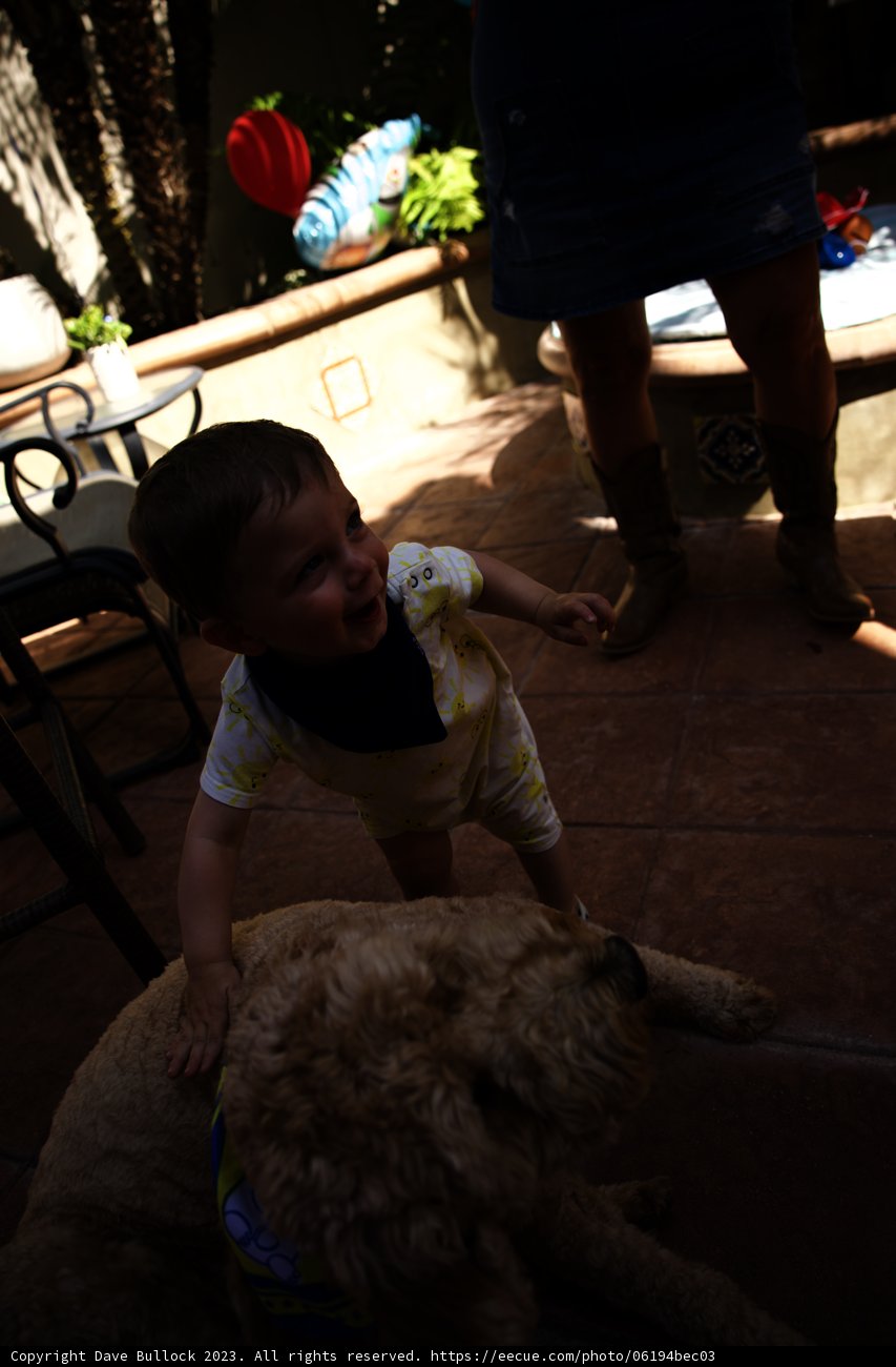 Patio Pals: Wesley's First Birthday Celebrations