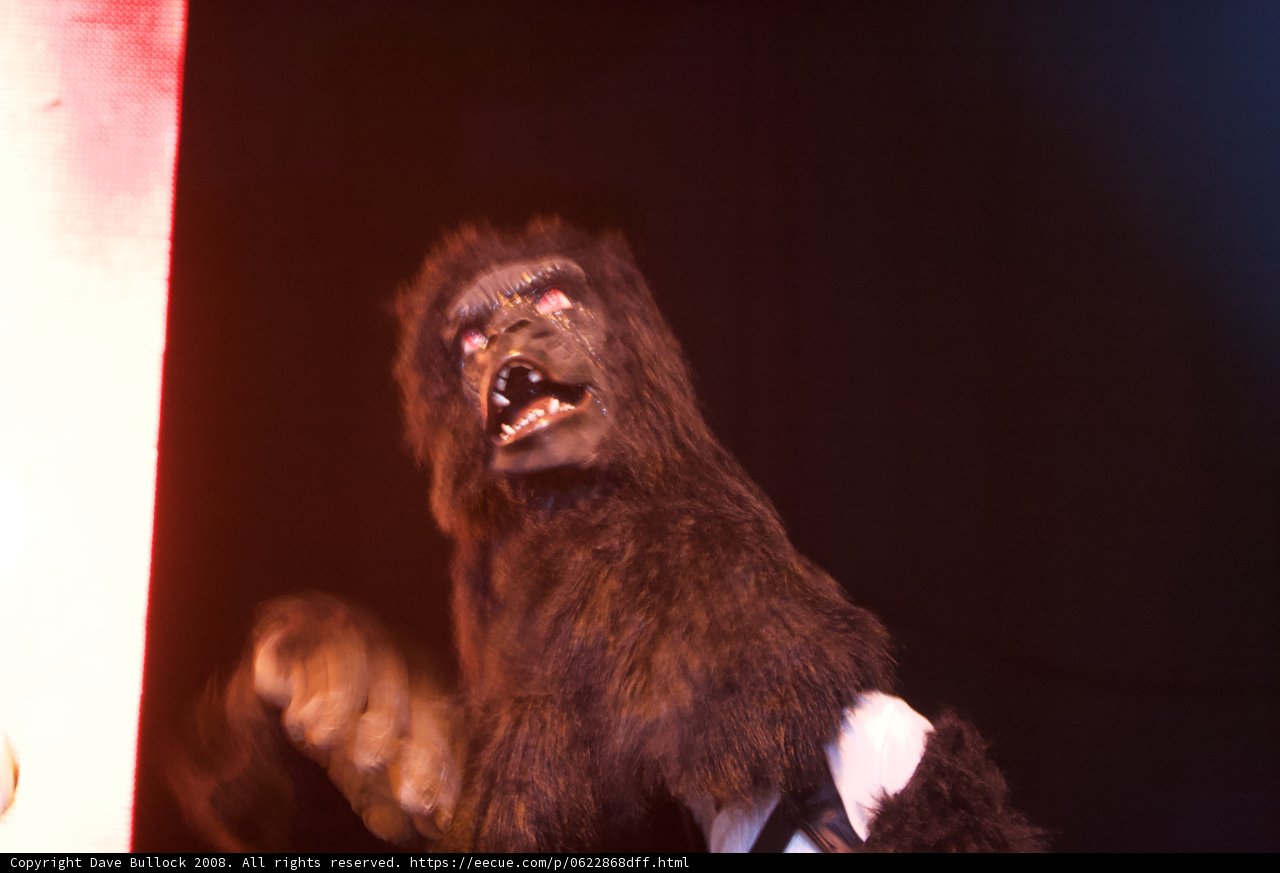 Gorilla Performance at Coachella 2008