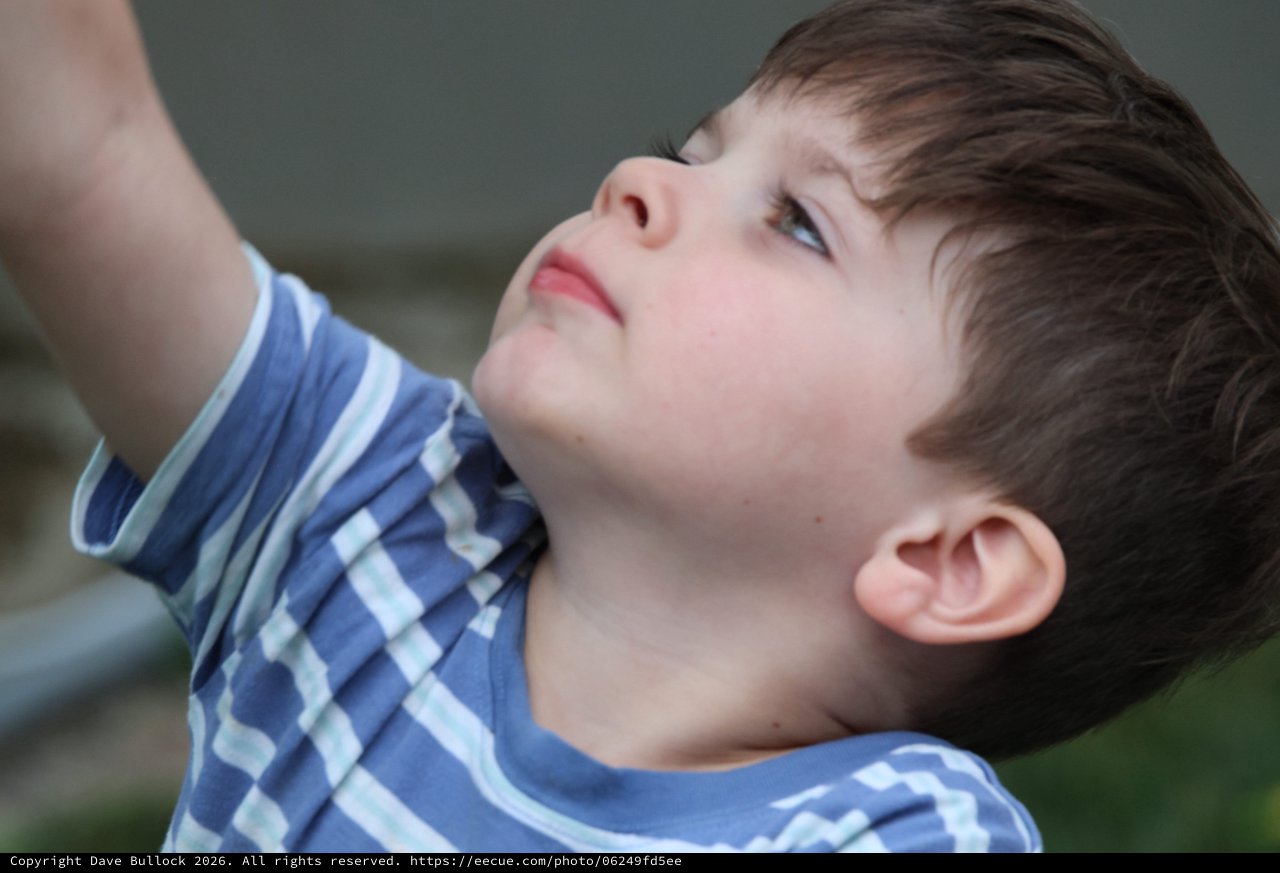 Young Boy Gazing Upward in Peaceful Contemplation