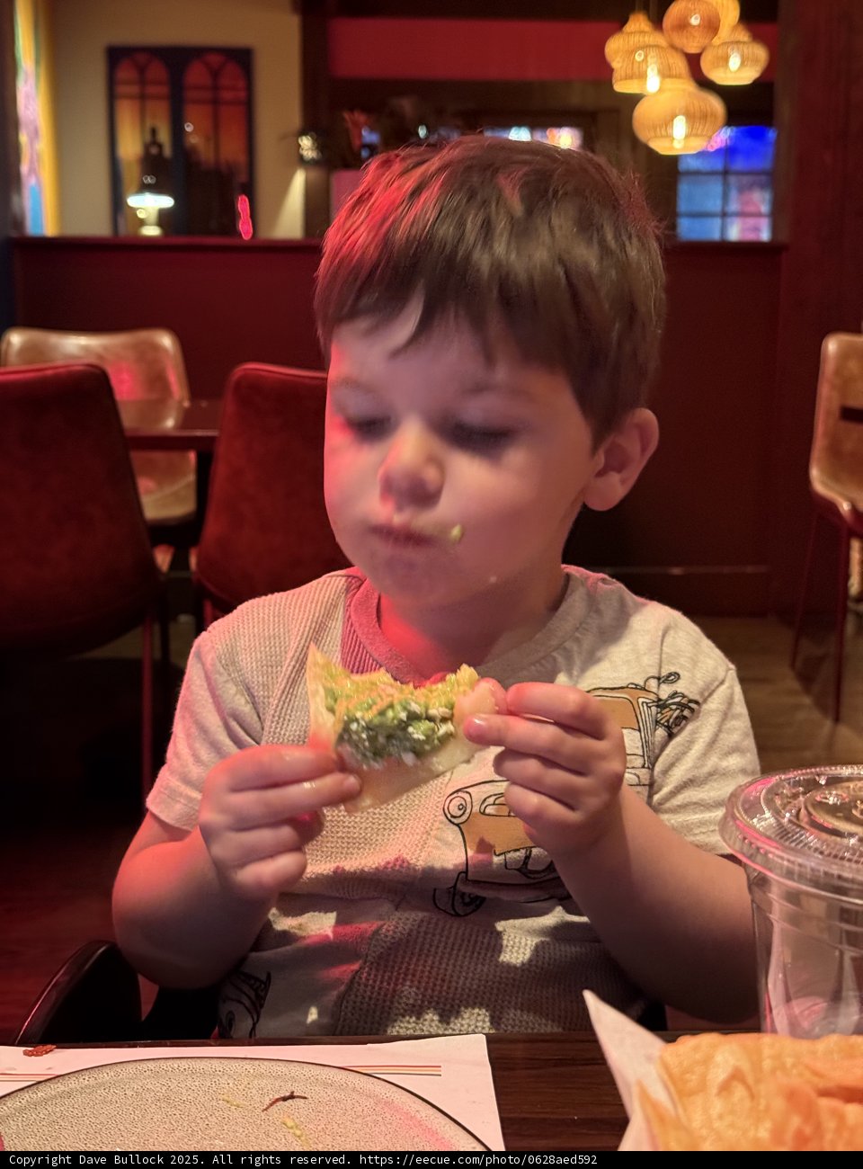 Little Taco Enthusiast