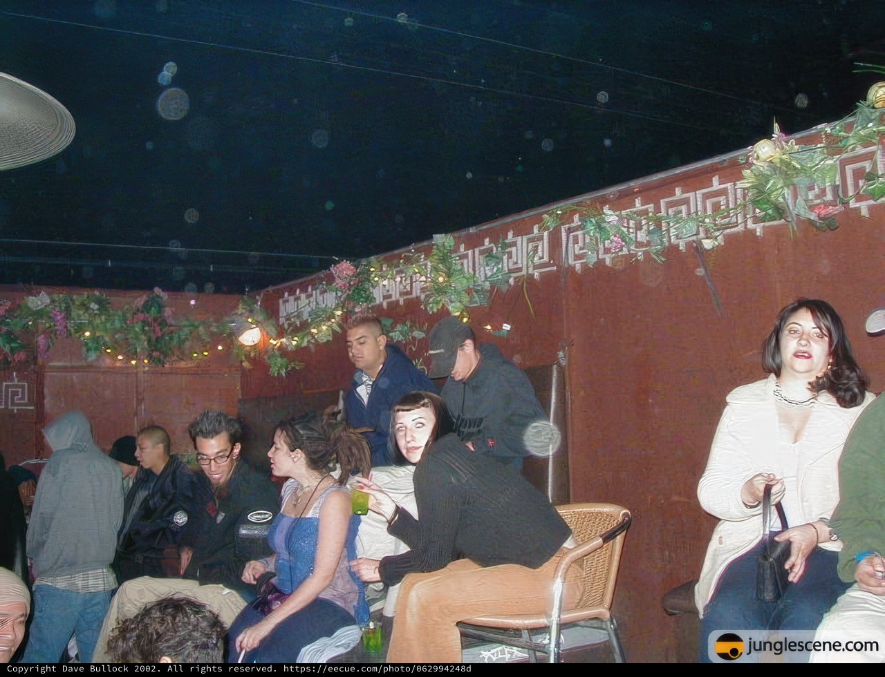 Night Club Gathering