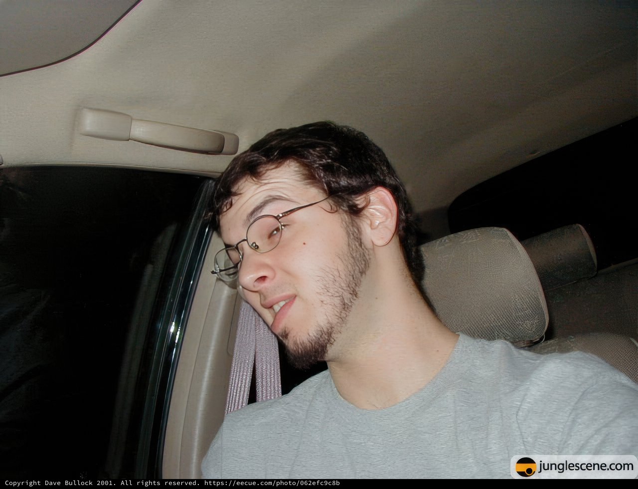 The Bearded Passenger