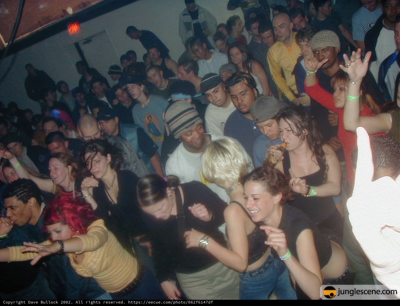 Party Frenzy