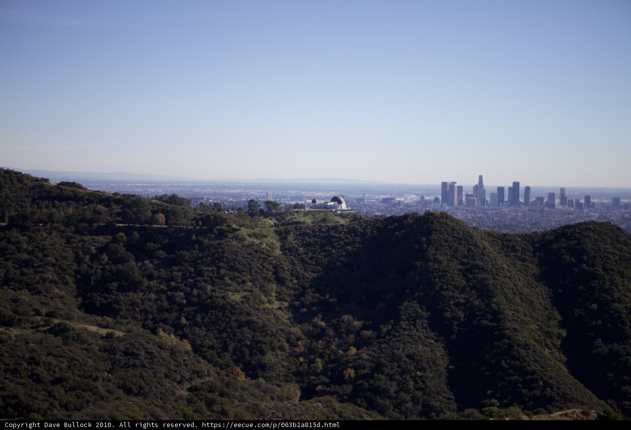 Overlooking the Urban Jungle