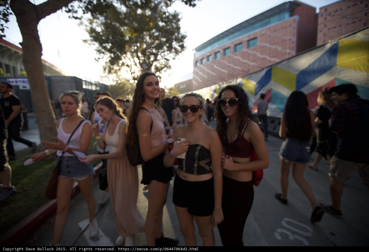 Festival Group Candid