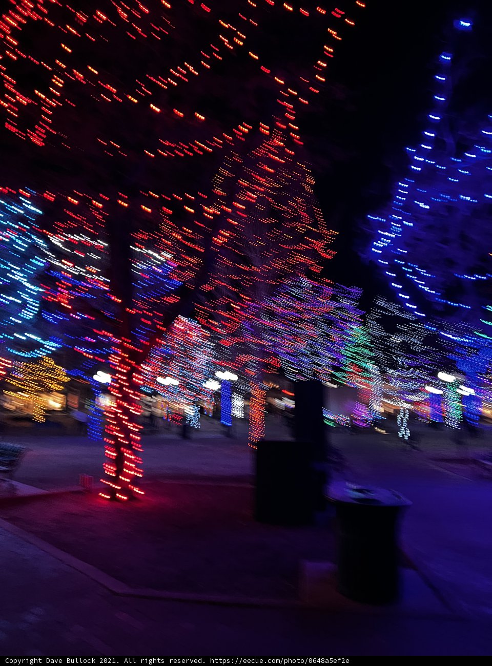A Festive Night in Colorado Springs