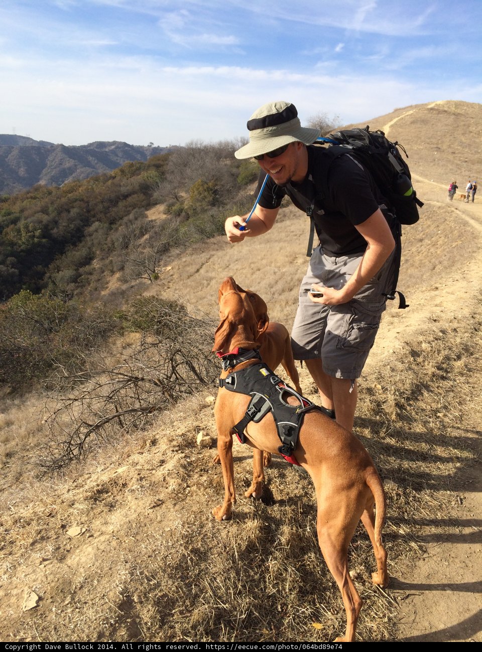 Hiking with My Four-Legged Friend