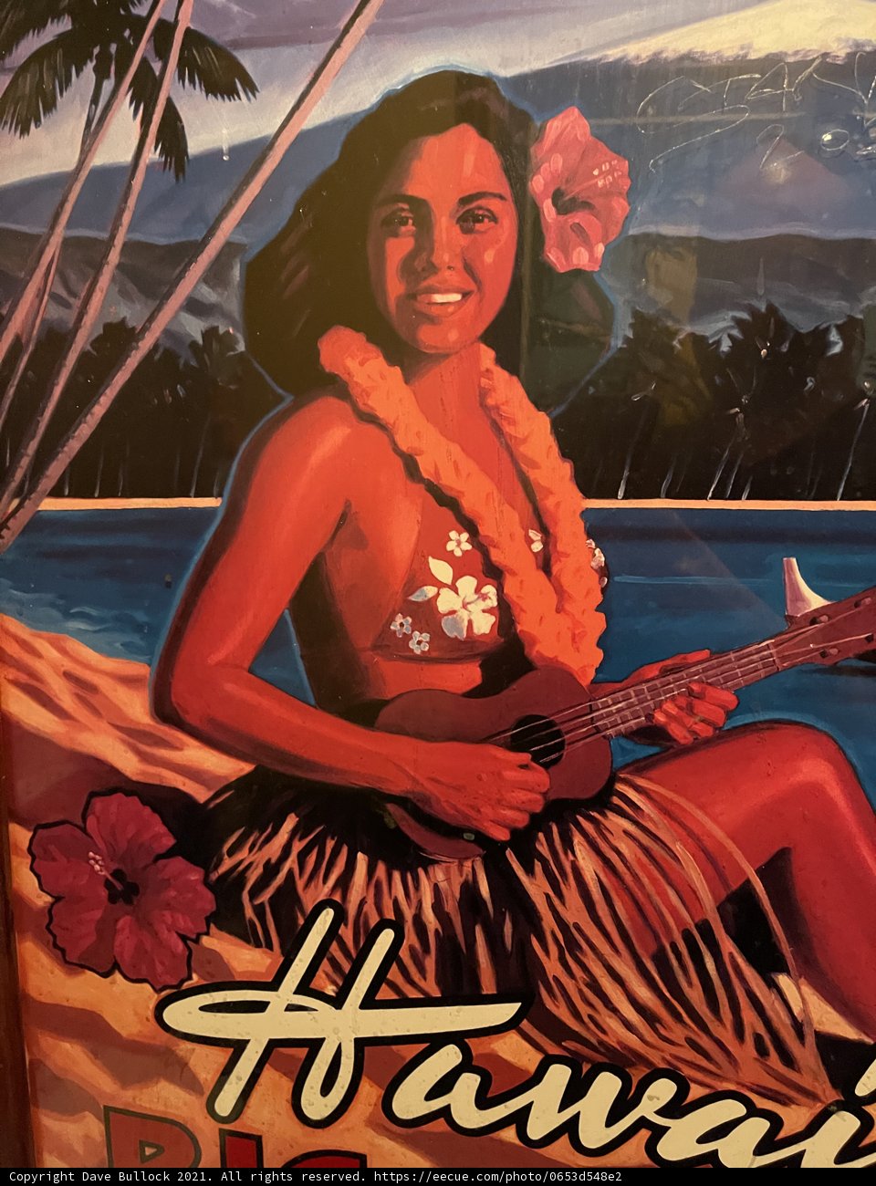 The Hawaiian Melodies