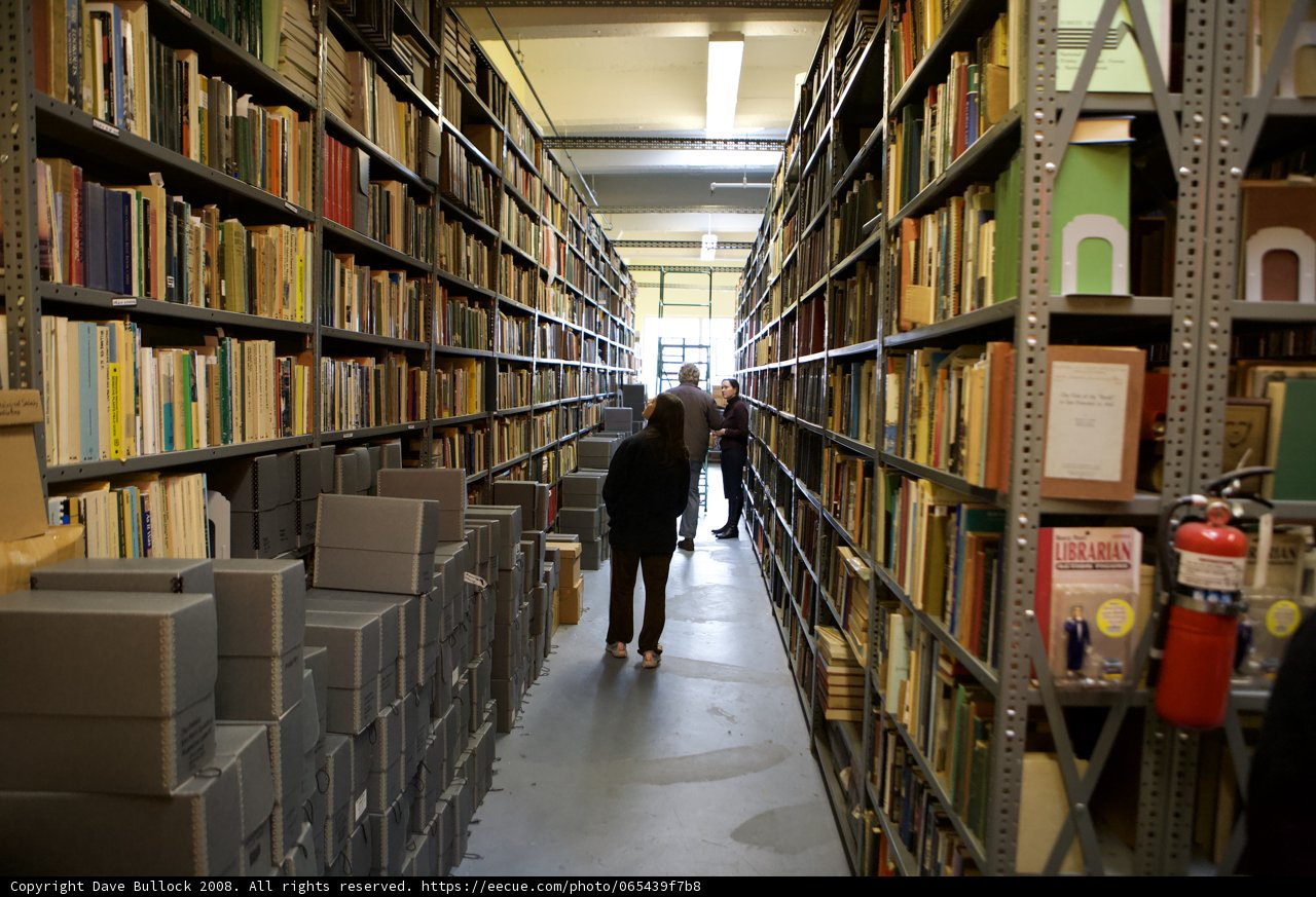 The Enchanting Aisle of Literature