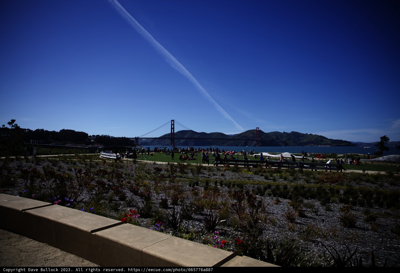 A Serene Stroll by the Golden Gate