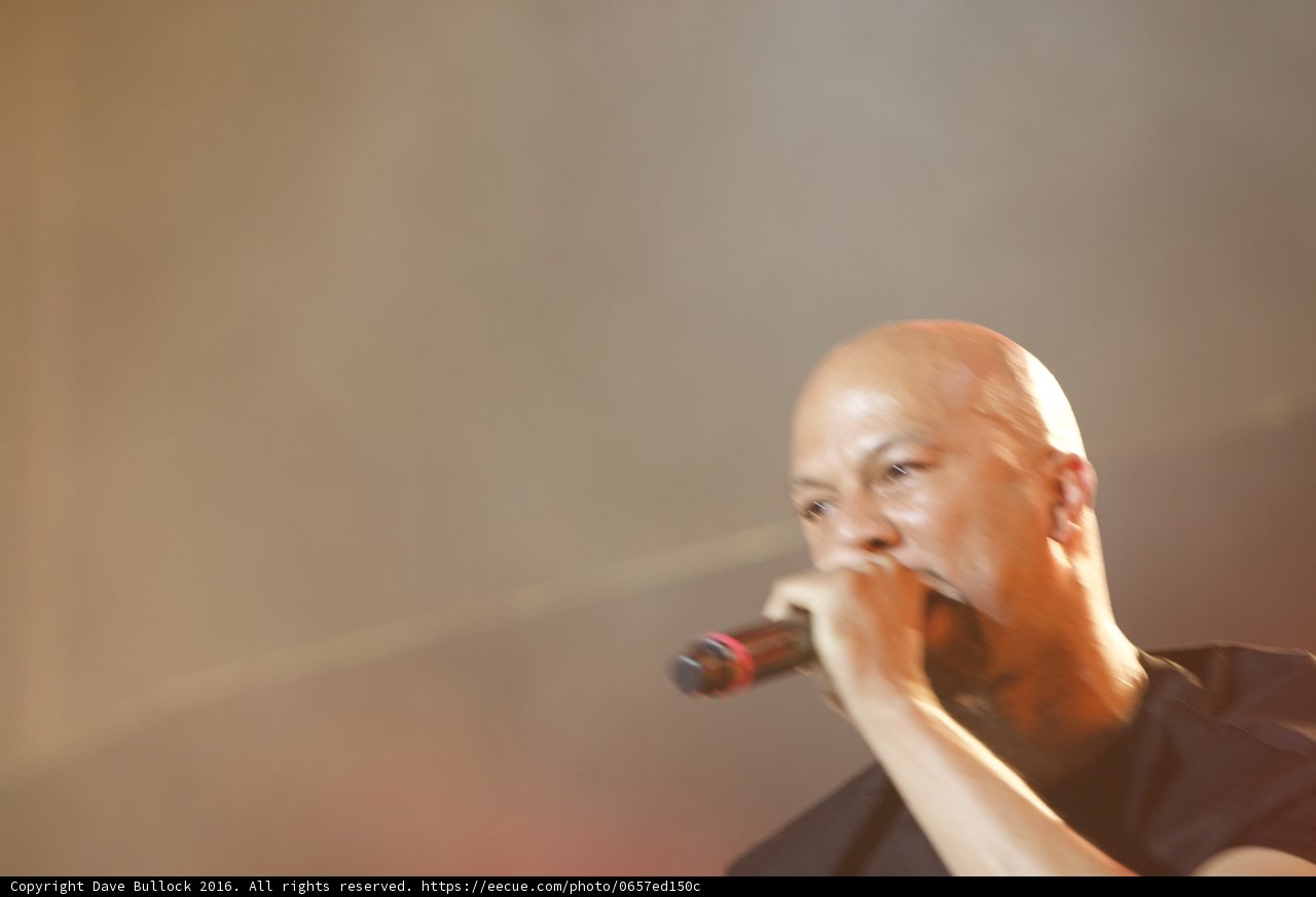 Common Rocks Coachella