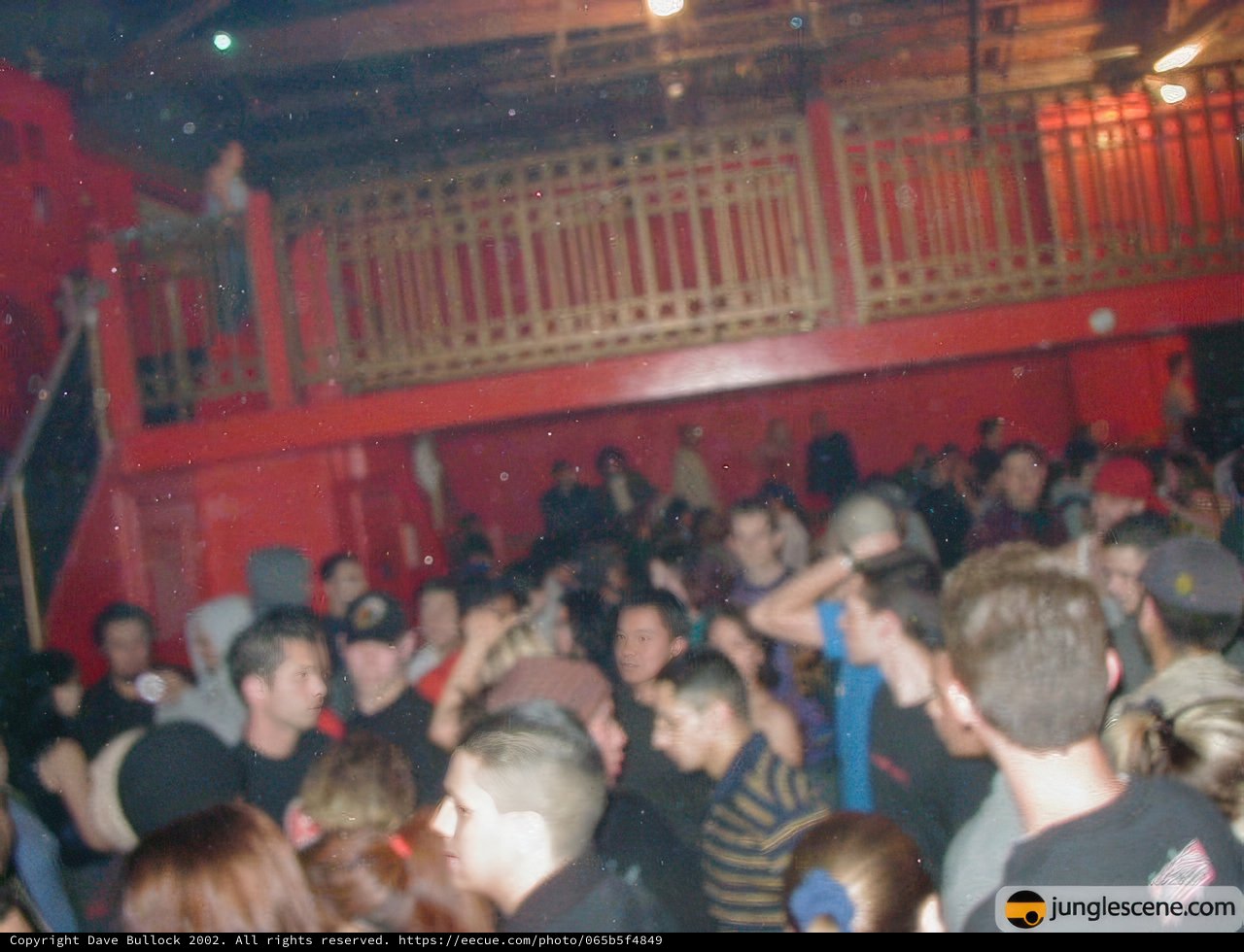 Nightlife Frenzy