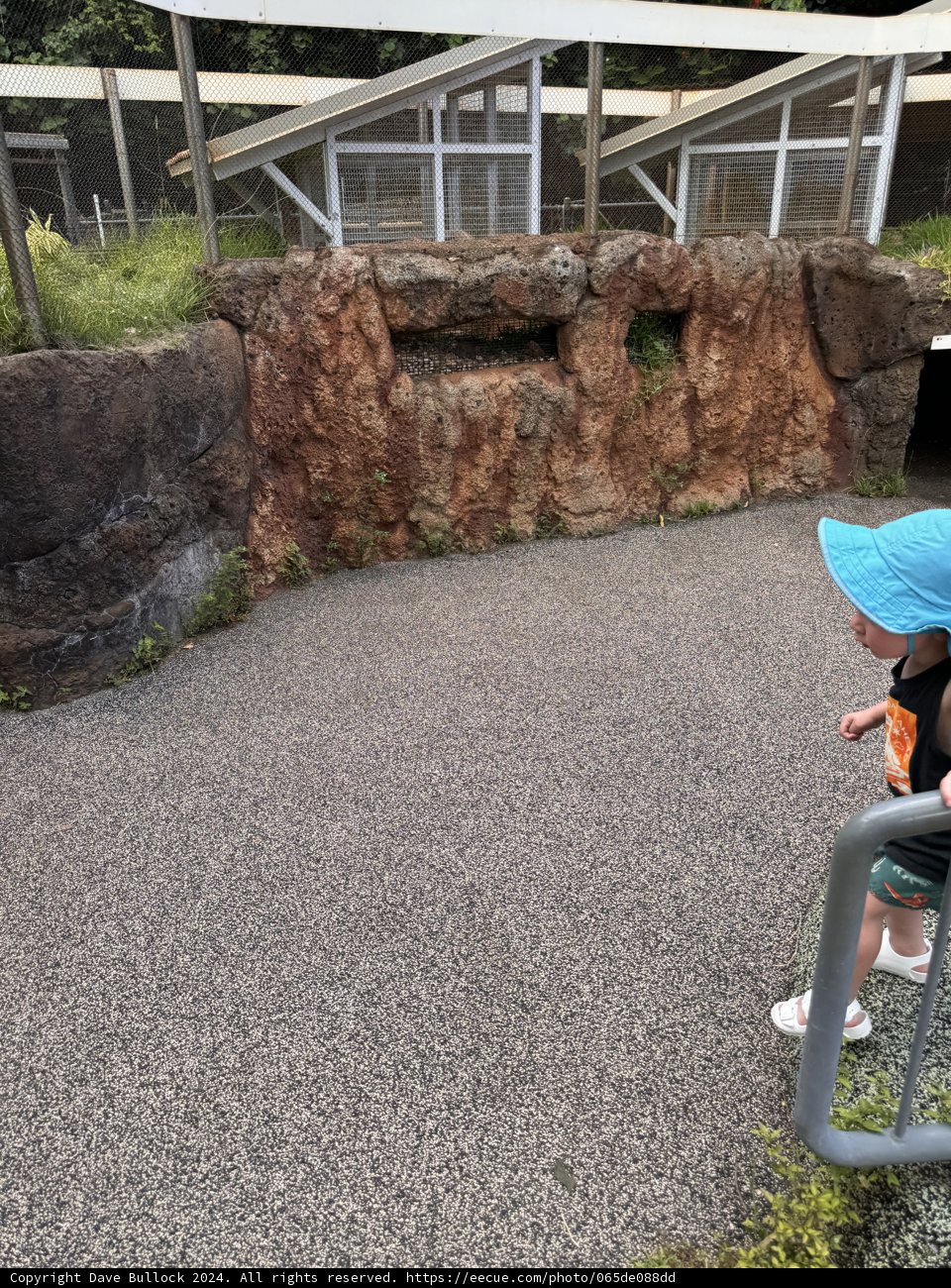 Exploring the Paths of Honolulu Zoo